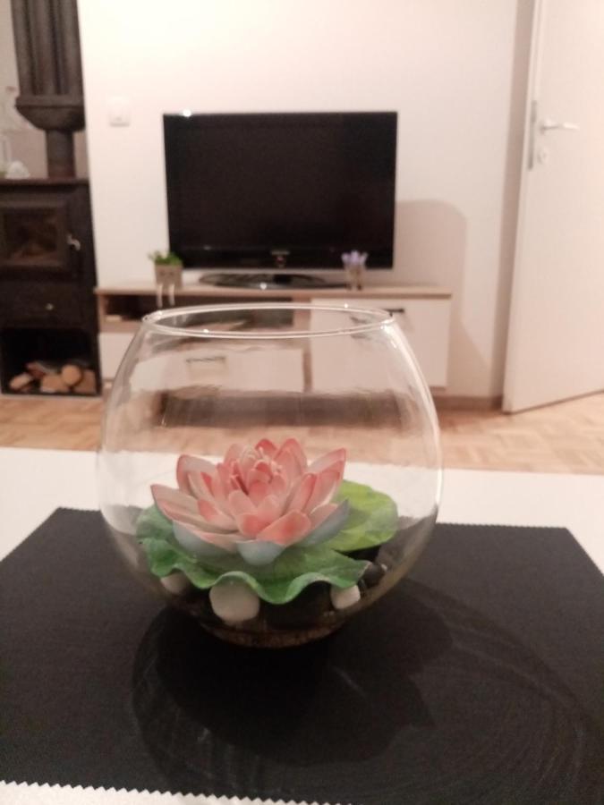 Stela Rosa *